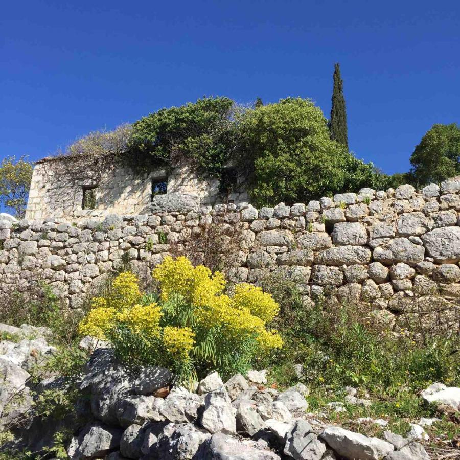 Apartman Ella Peracko Blato Luaran gambar
