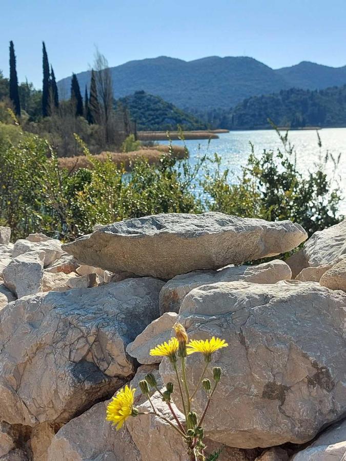 Apartman Ella Peracko Blato Luaran gambar