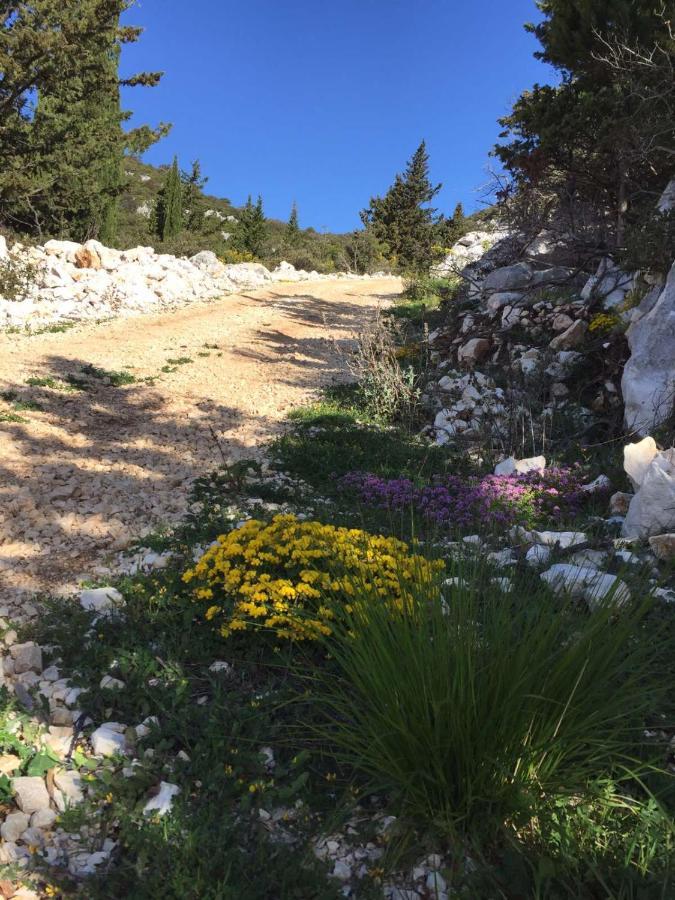 Apartman Ella Peracko Blato Luaran gambar