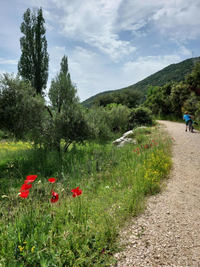 Apartman Ella Peracko Blato Luaran gambar