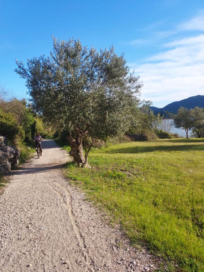 Apartman Ella Peracko Blato Luaran gambar